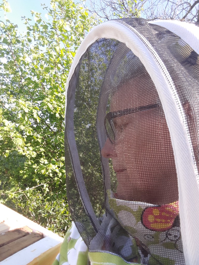 tror jag var onödigt oroad för svärmning