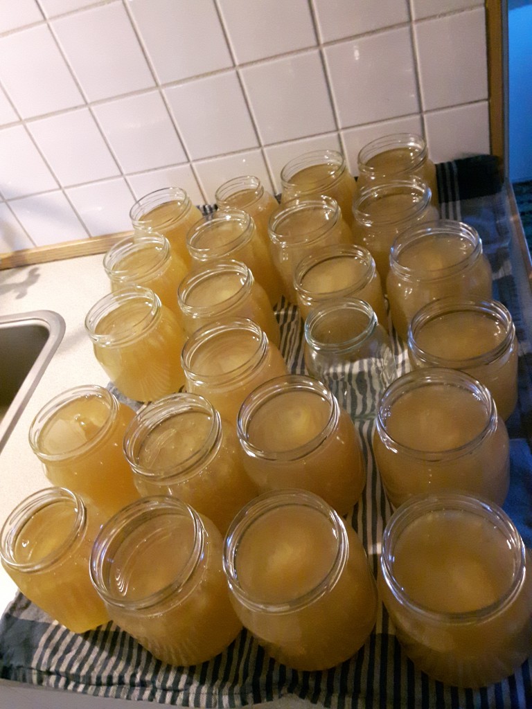 Nu är det ingen återvändo. Bara att hålla tummarna